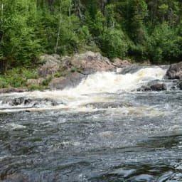 Timmins