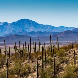 Tucson
