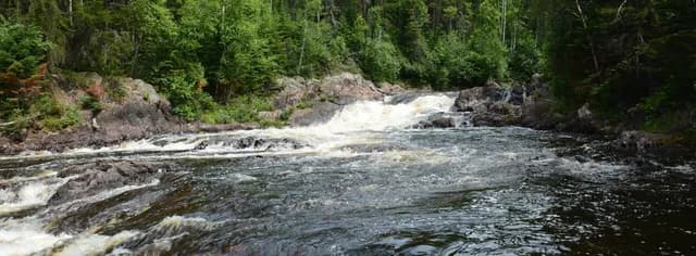 Timmins