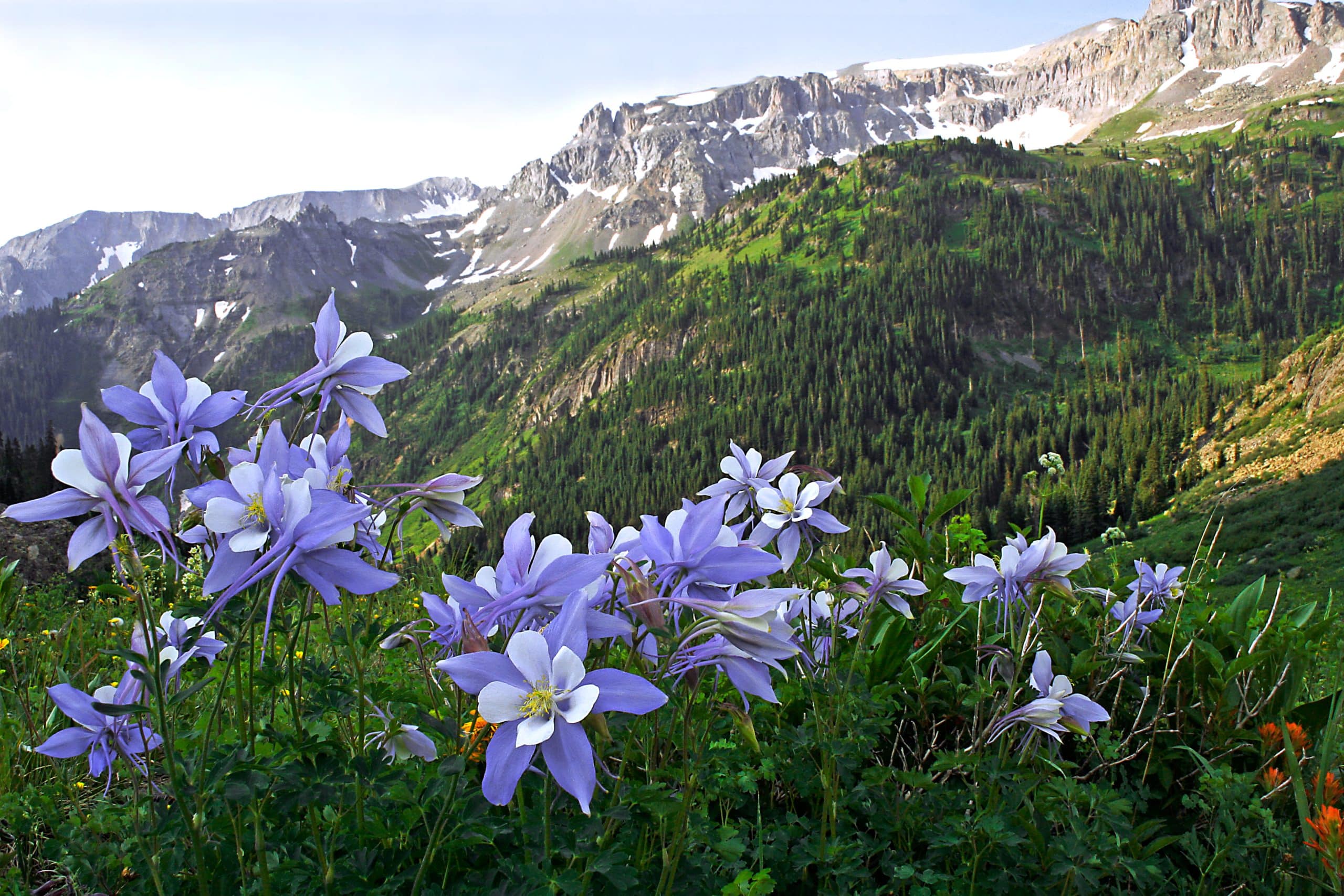 Breathtaking mountain landscapes surrounding Telluride, Colorado, create the perfect private jet destination for an indulgent escape into nature's grandeur and serenity
