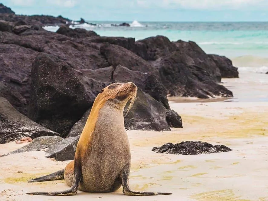 Ecuador winter destination