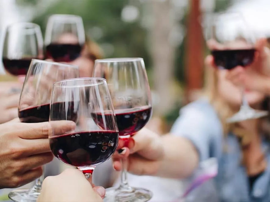 Wine tourism and tasting