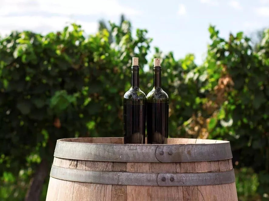 Argentina wine tours