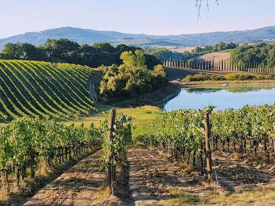 Italian Wine tourism. Tuscany