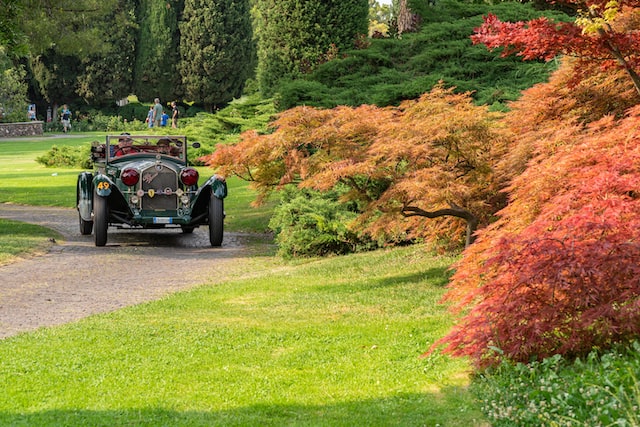 Alessandro Carrarrini classic car