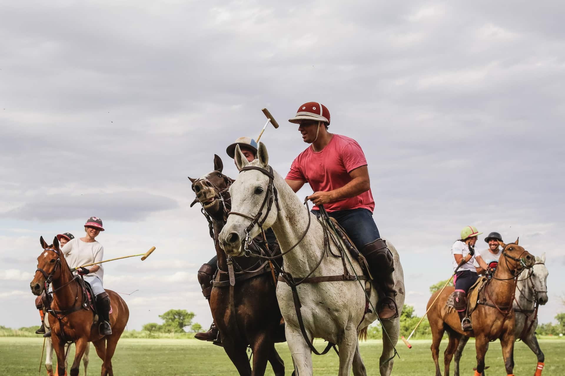 Polo Schools