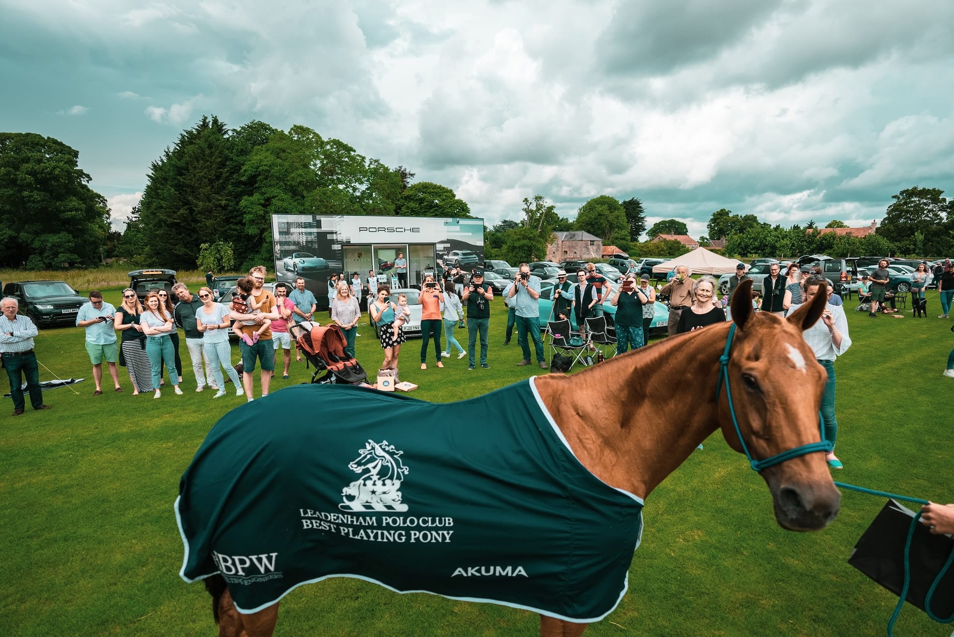 Polo Horse