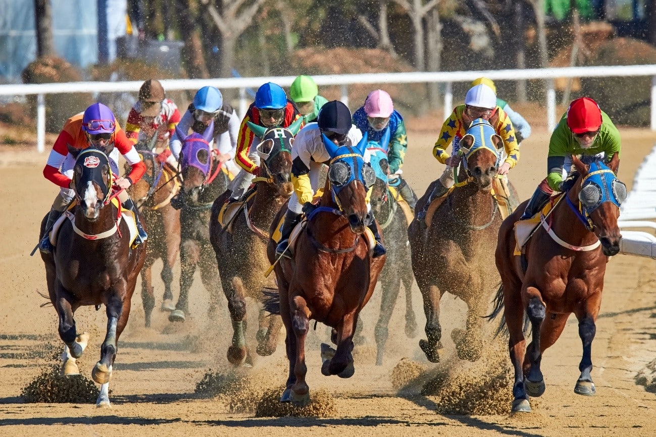 Flying to Horse Races on a Private Jet