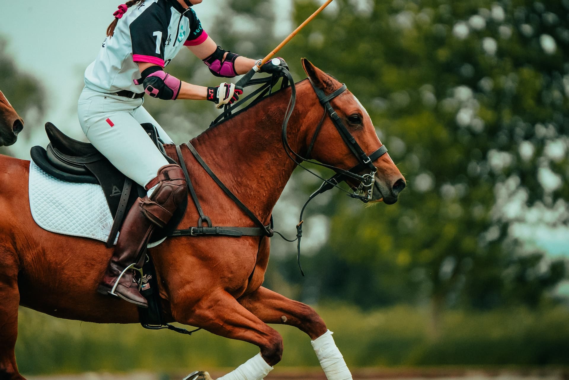 The Best Polo Tournaments in the World