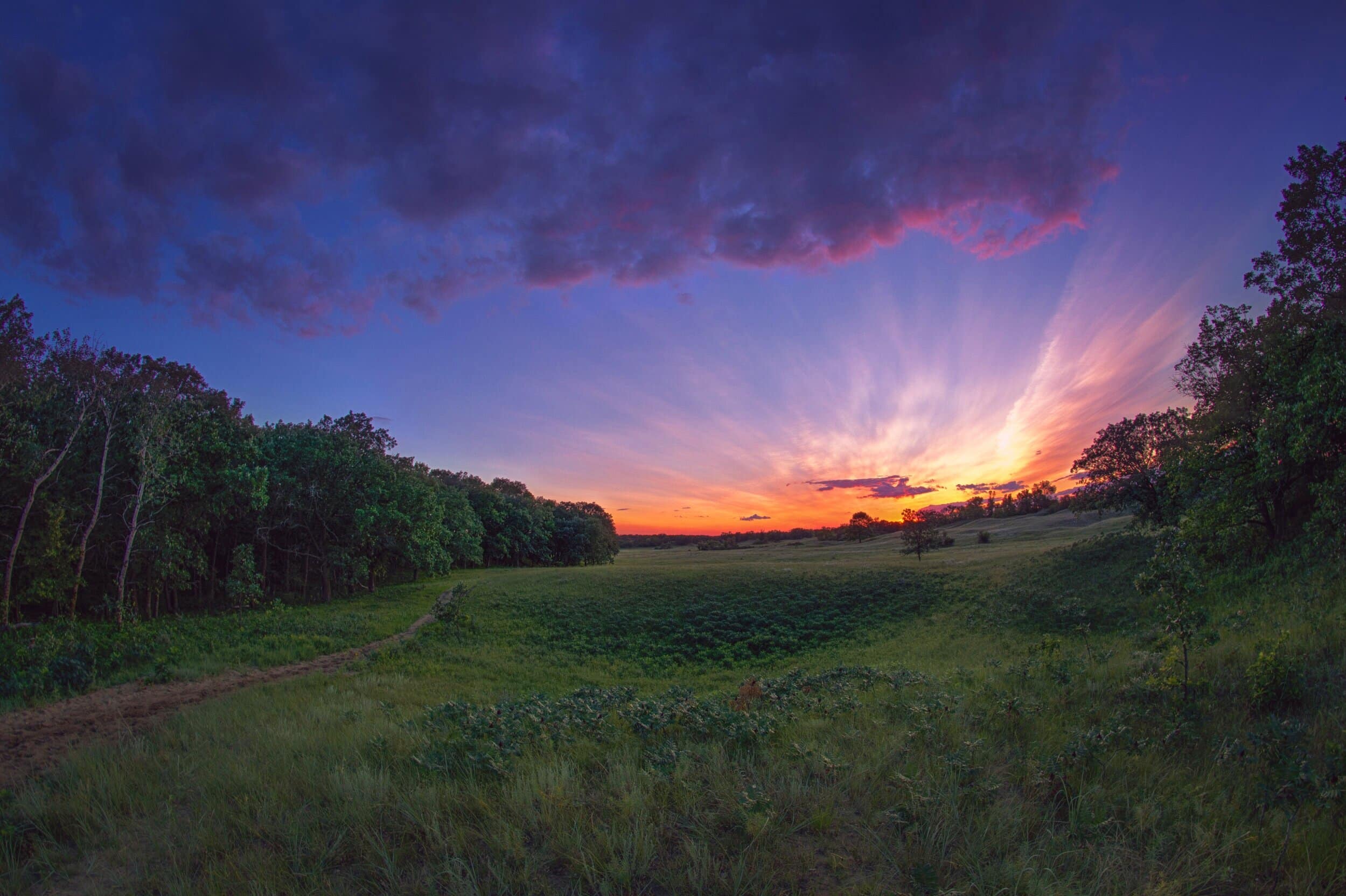 Sheyenne Grasslands, Fargo, North Dakota