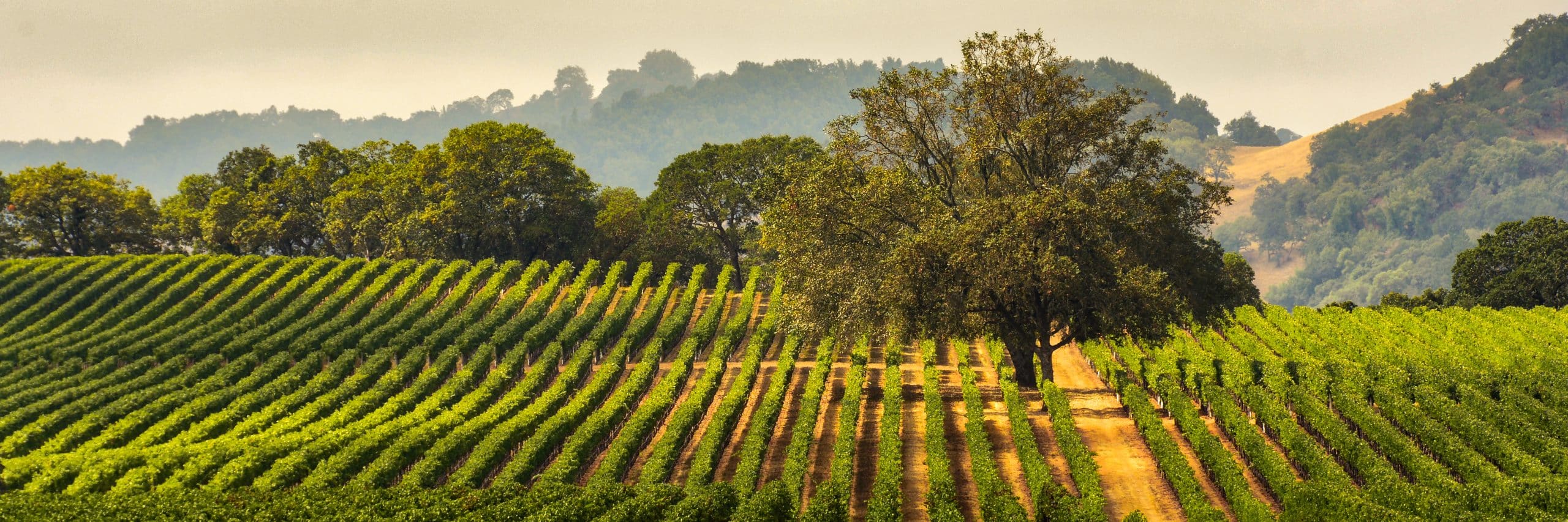 Napa Private Jet Charter
