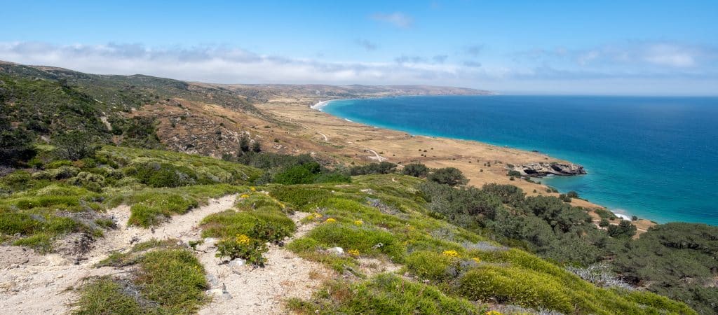 Santa Rosa Island, Channel Islands National Park, Ventura, California, USA