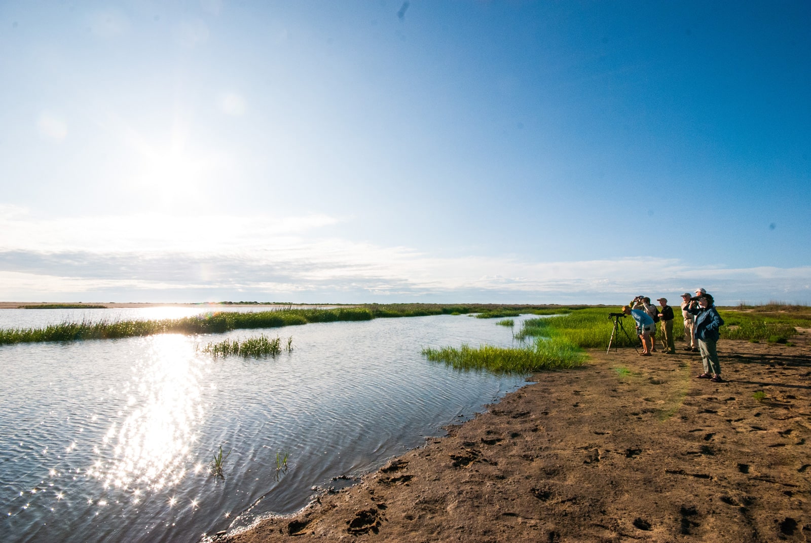 Bird watching on Little St. Simons Island, Georgia