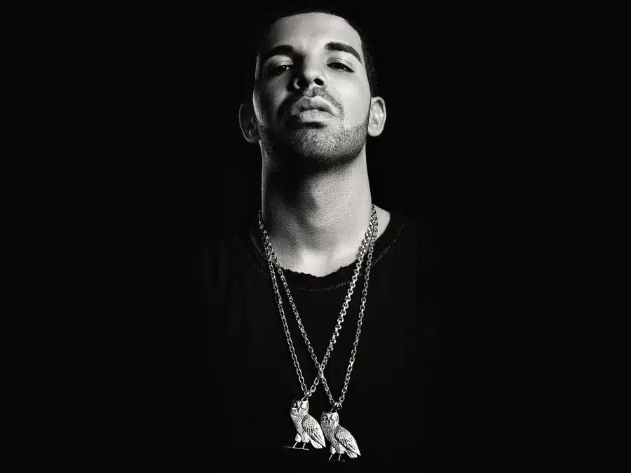 Drake Grey Portrait