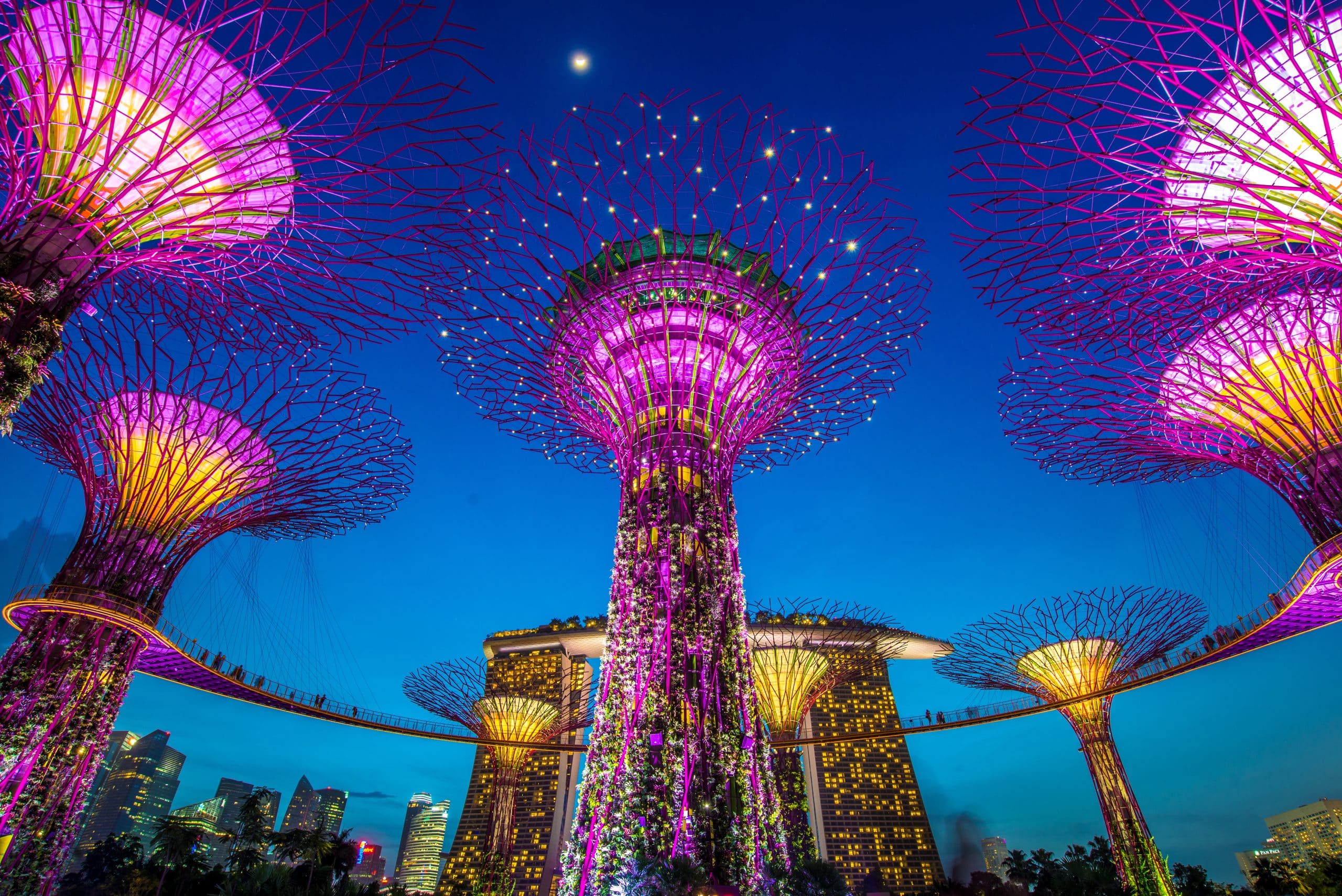 Singapore SuperTree Gardens