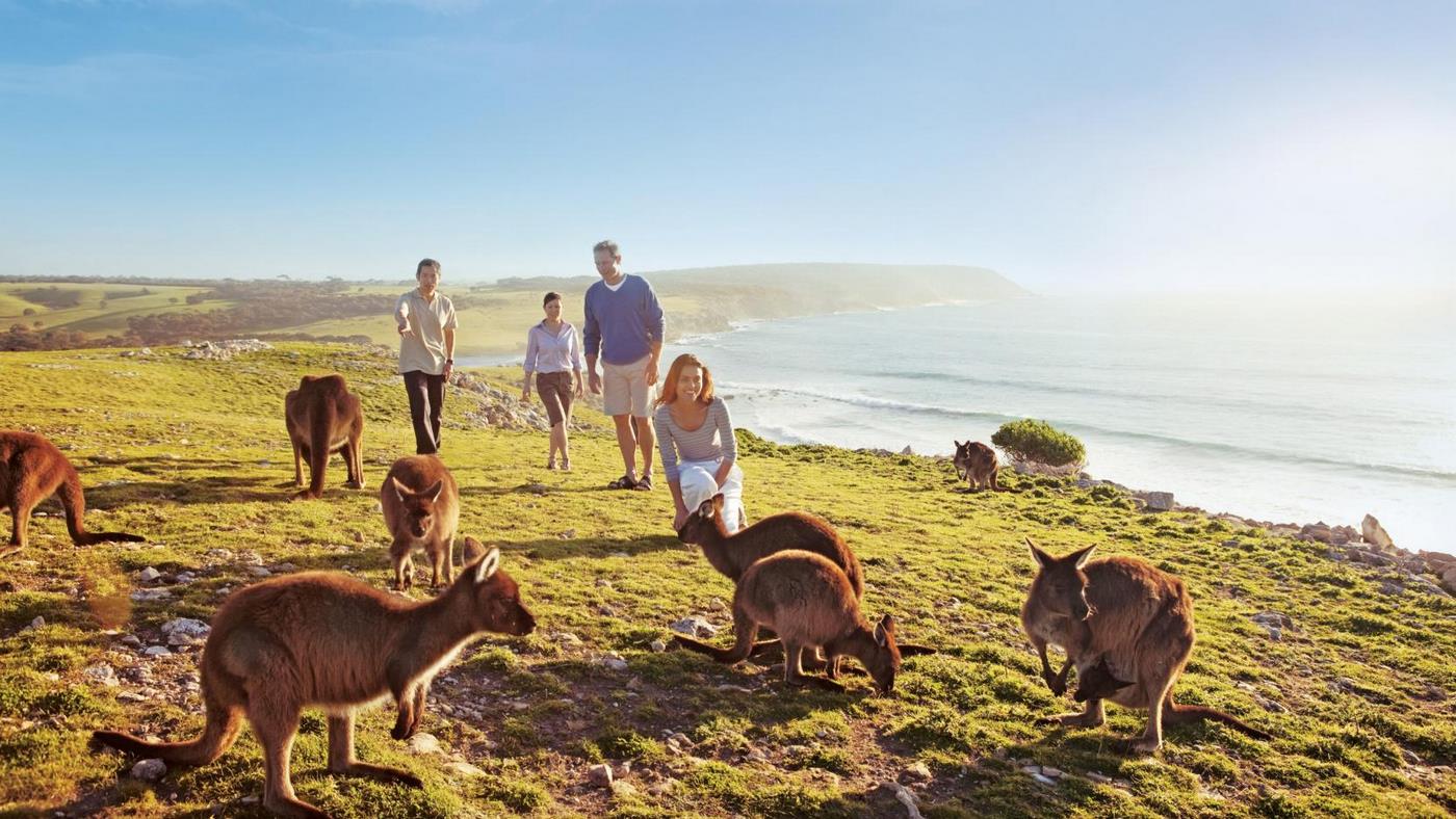 Kangaroo Island. Fly Private to Adelaide.