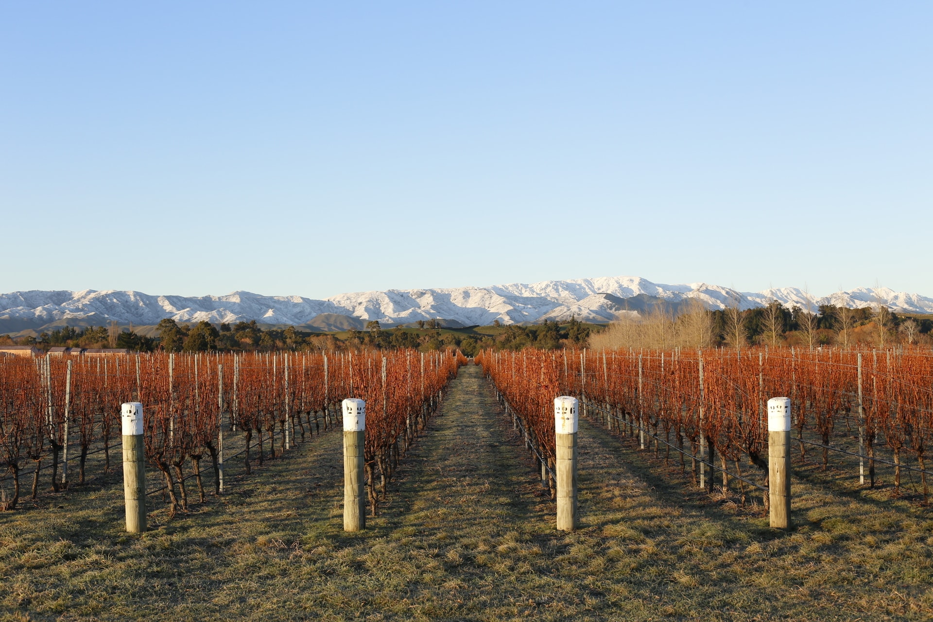 Spy Valley Wines. Fly Private to Blenheim.