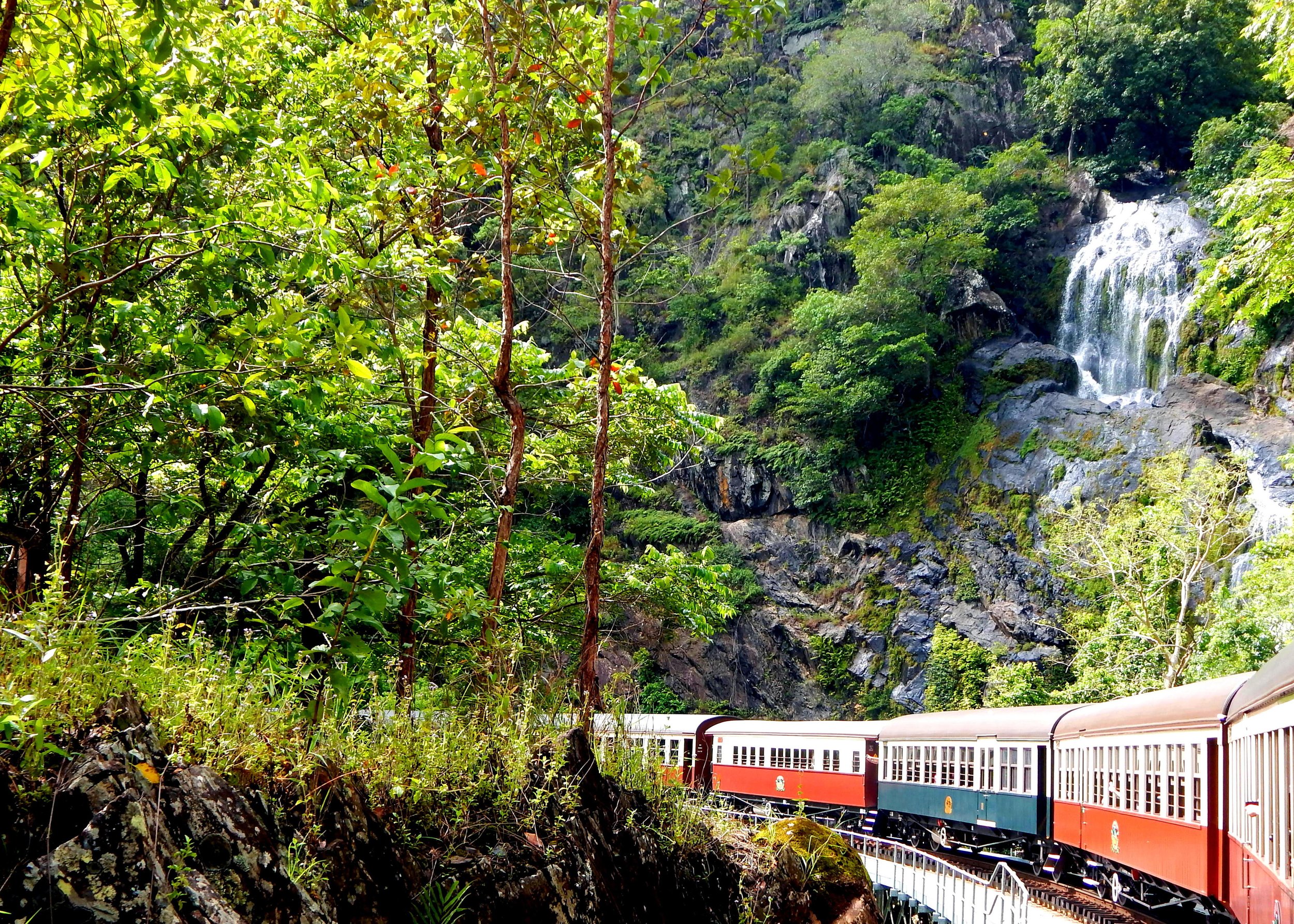 Kuranda's rainforest. Fly Private to Cairns.