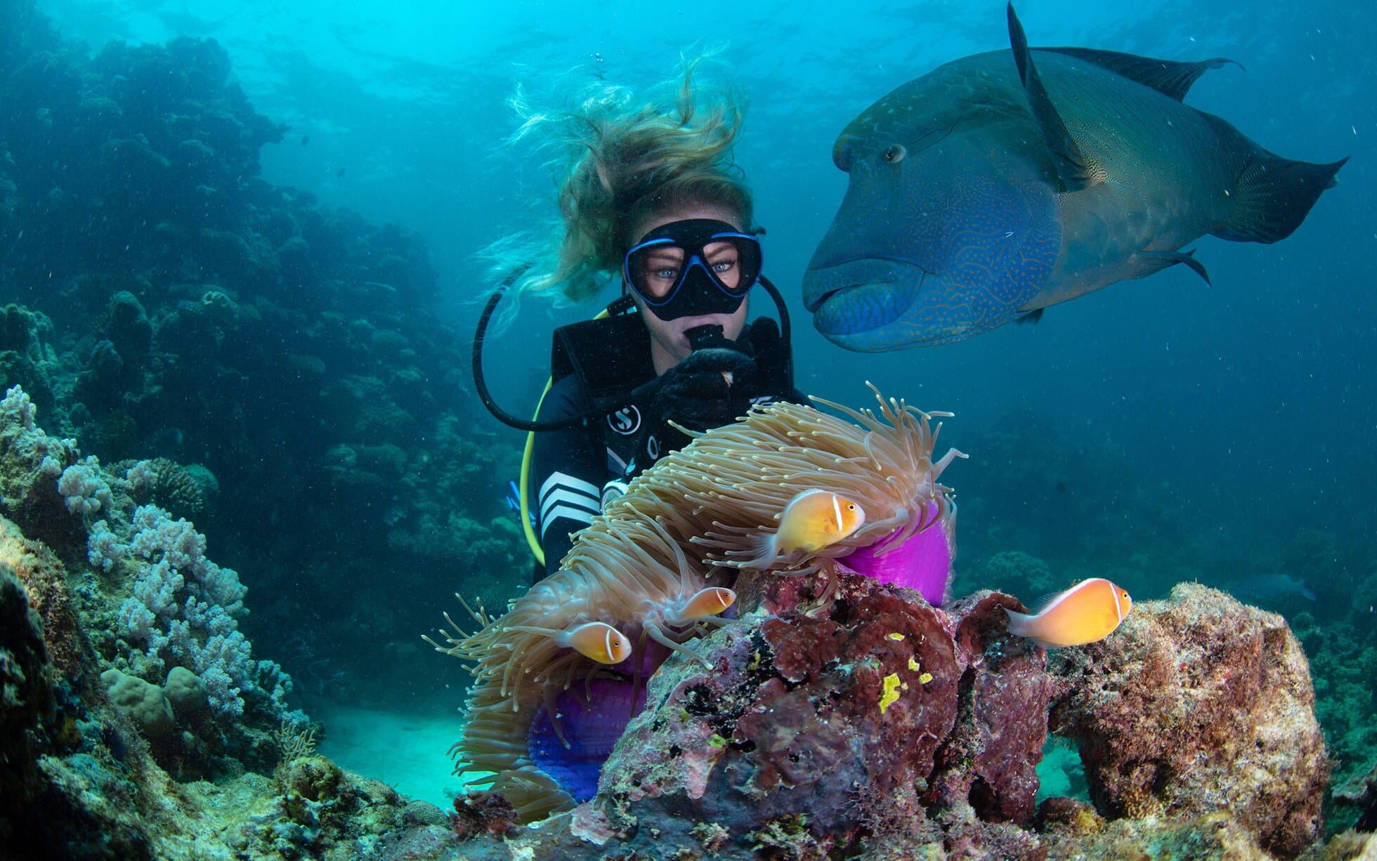 Snorkel the Great Barrier Reef. Fly Private to Cairns.