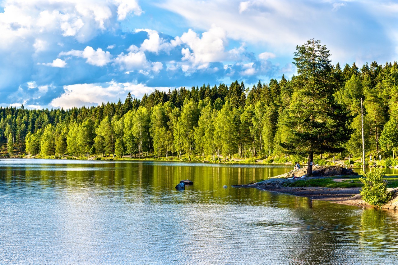 Nordmarka Forest. Fly Private to Oslo.