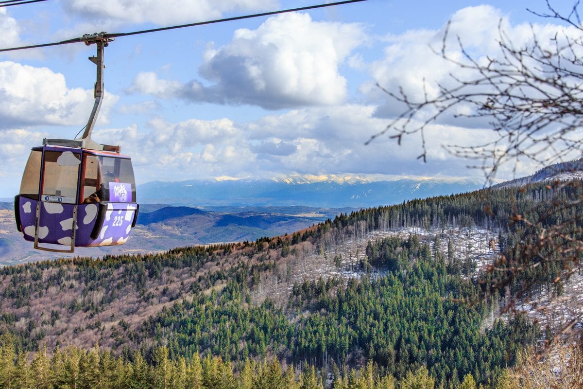 Vitosha Mountain