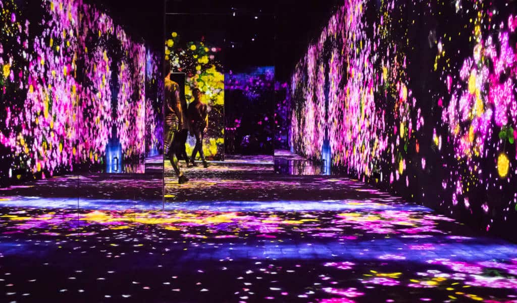 Tokyo's teamLab Borderless digital art museum. Fly Private to Tokyo.