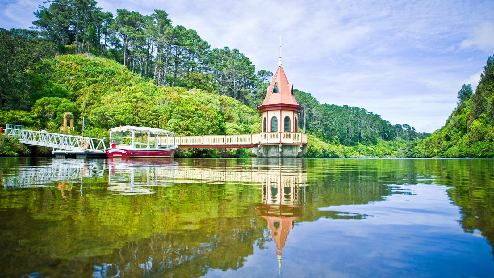 Zealandia Wildlife Sanctuary. Fly Private to Wellington.