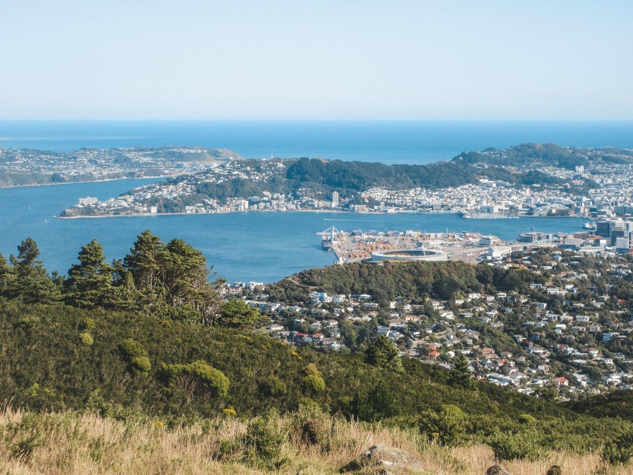 Hiking Mount Kaukau in Wellington, New Zealand