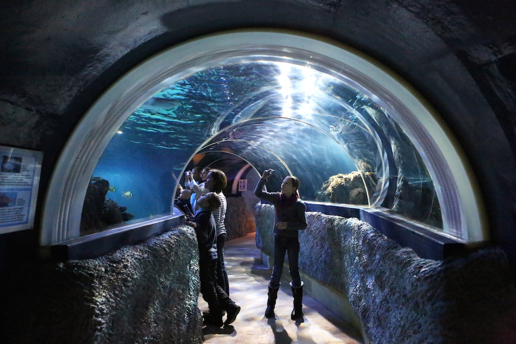 Aquarium Sylt. Fly Private to Westerland.
