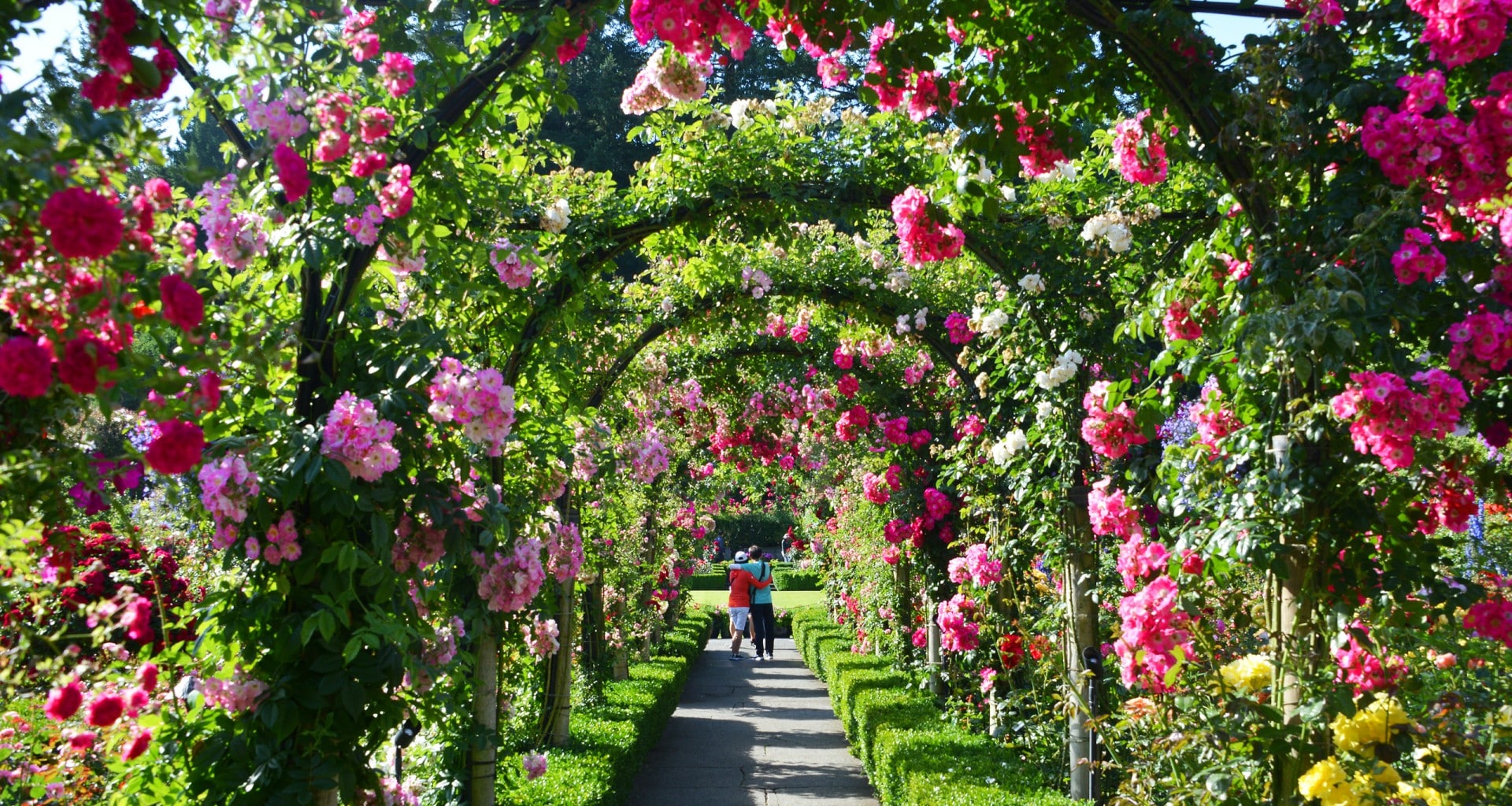 Smell the Roses at Butchart Gardens. Fly Private to Victoria.