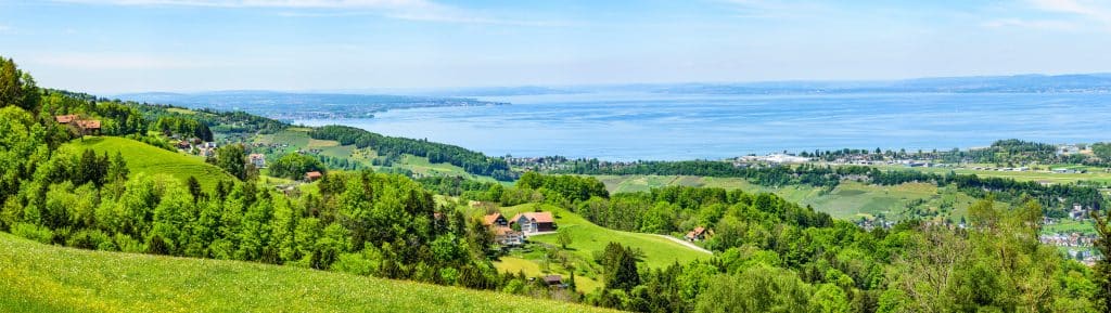 Ausblick auf den Bodensee am schweizer Ufer bei Altenrhein