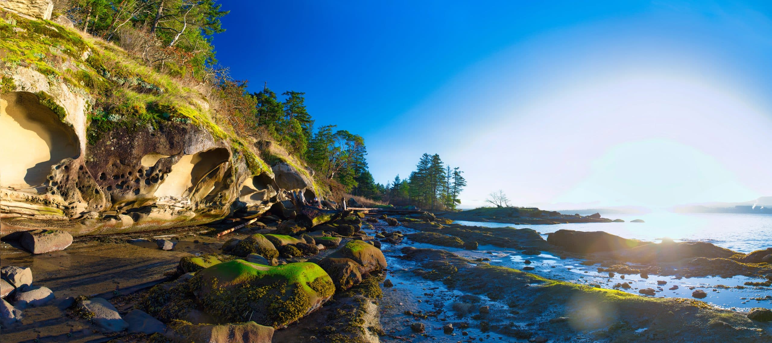Nanaimo Private Jet Charter