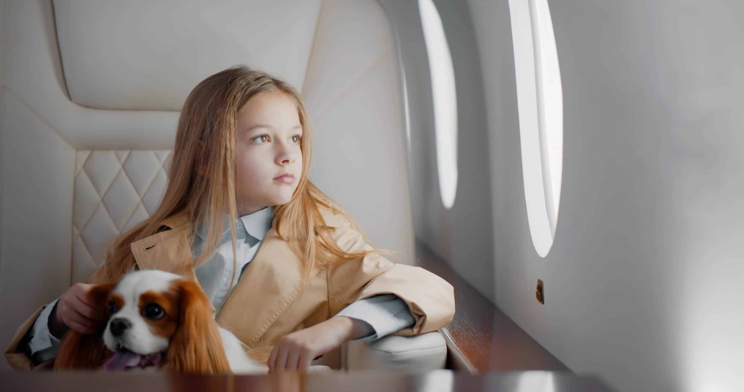 Girl travelling with cocker spaniel dog in a private jet Private Jet Sharing for Pets