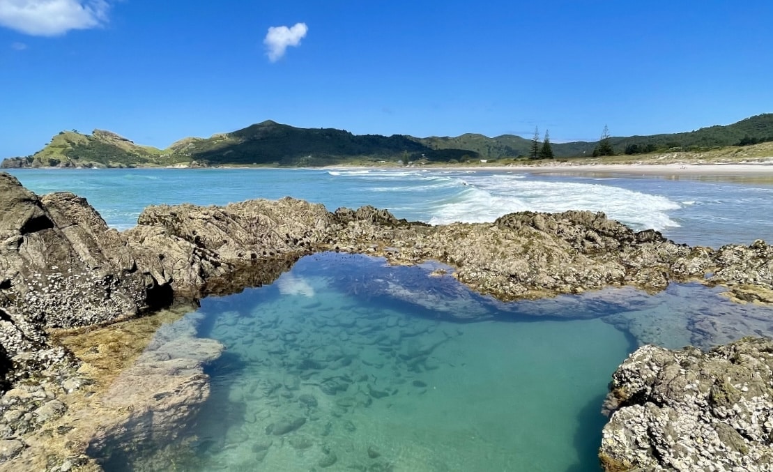 Medlands Beach Lodge. Fly Private to Claris.